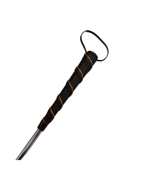 Metal shoehorn with spring 2