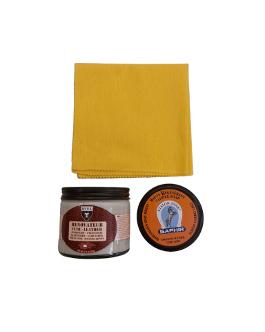 Set pulizia divani in pelle