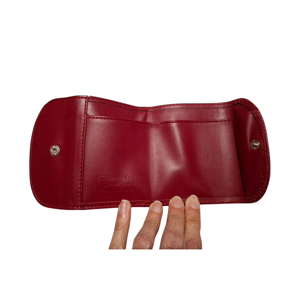 Coin and Money Holder with Buttons